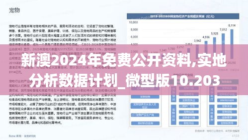 探索未来;-2025年新澳历史开奖记录查询结果——实用释义、解释与落实